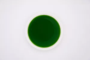 Green Apple Flavoured Syrup