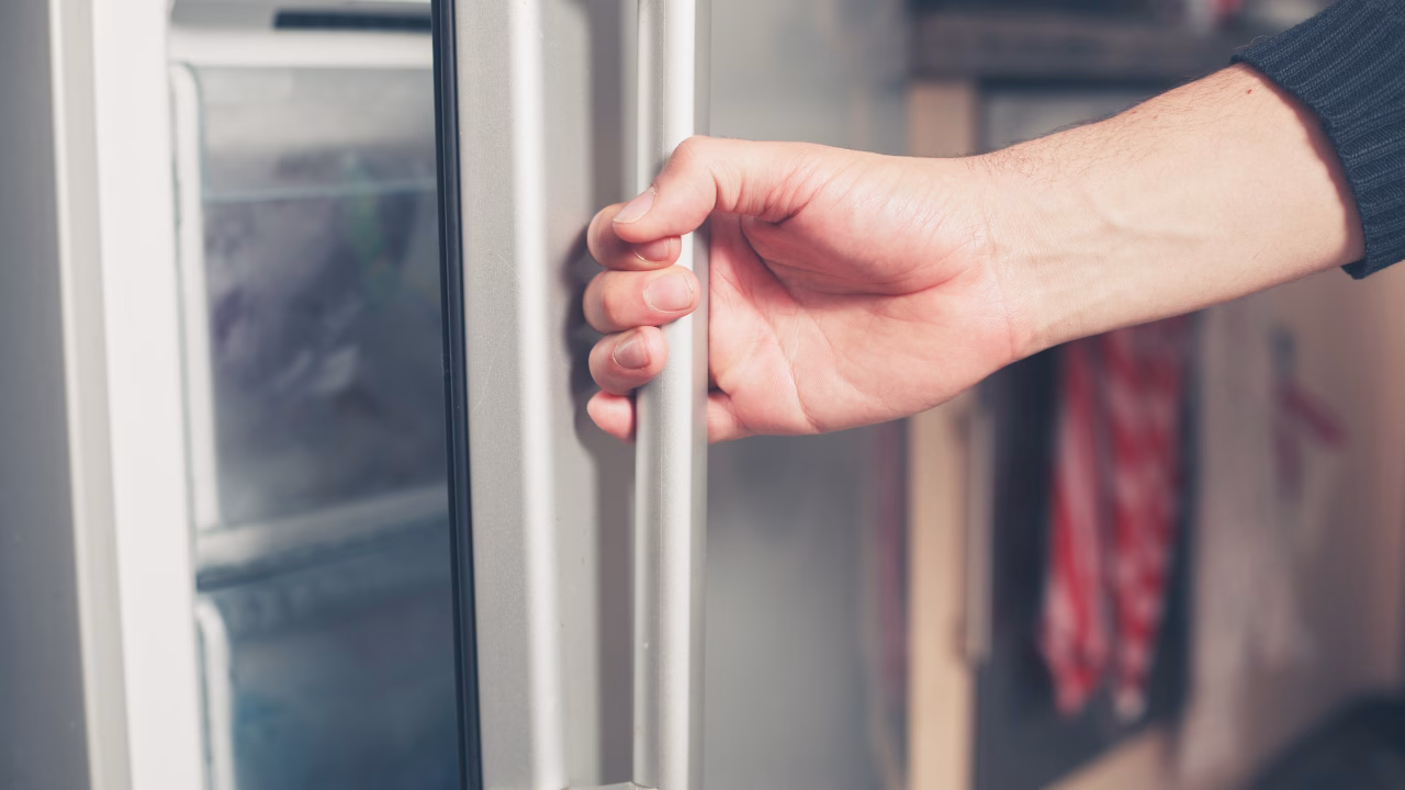 hand holding fridge handle